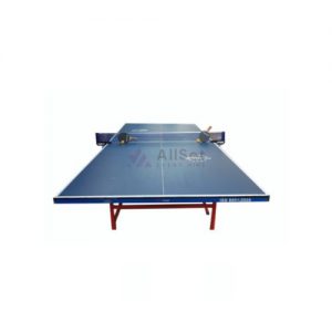 Ping Pong Table