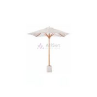 White Umbrella